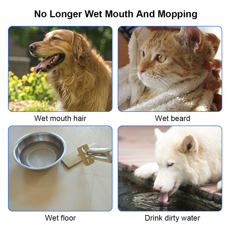 Four images showing pets' wet mouths, wet beard on cat, wet floor from bowl, and a dog drinking dirty water