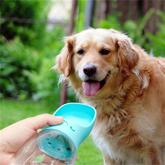 Hand holding blue portable pet water bottle with golden retriever in green outdoor setting
