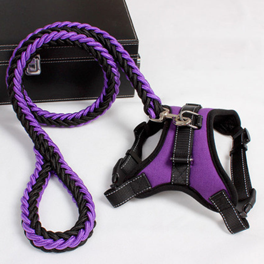 Purple and black breathable mesh dog chest strap harness with adjustable nylon straps and matching braided leash