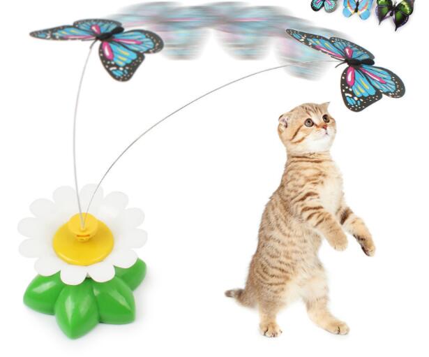Playful striped kitten standing near electric rotating butterfly cat toy with flower base