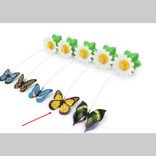Set of five colorful butterfly cat toys attached to green and white flower bases on white background