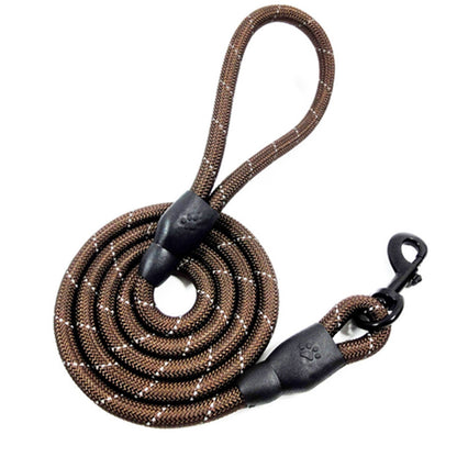 Brown reflective nylon dog leash with padded handle and black metal clip