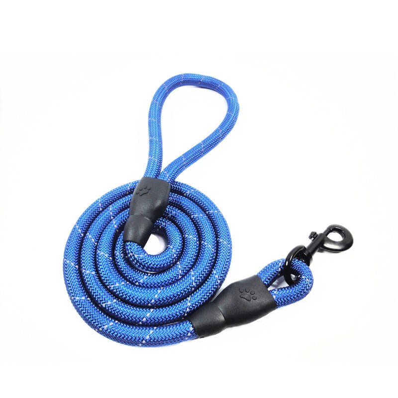Coiled blue reflective nylon dog leash with comfortable handle and black metal clasp
