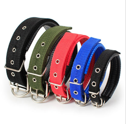 Set of adjustable soft-lined nylon dog collars in black, green, red, and blue with metal buckles