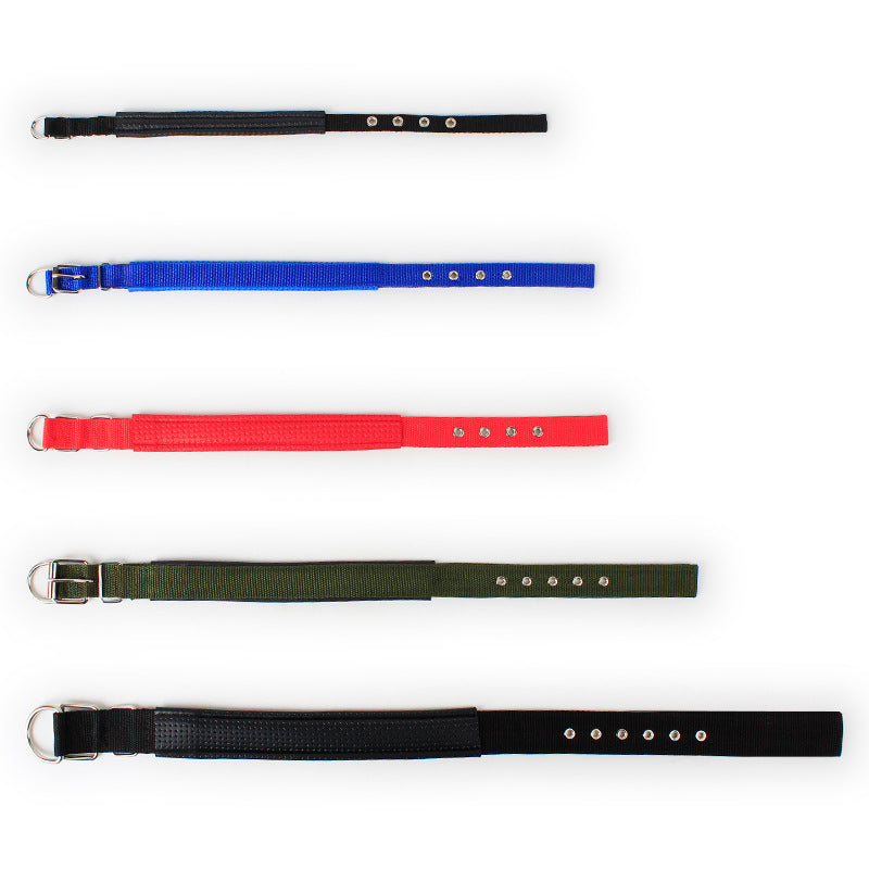 Five adjustable dog collars in black, blue, red, green, and black with metal buckles and holes