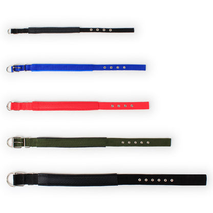 Five adjustable dog collars in black, blue, red, green, and black with metal buckles and holes