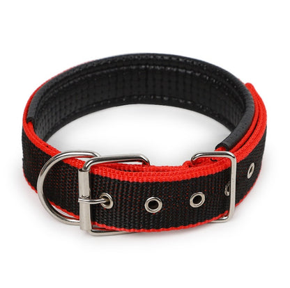 Adjustable red and black dog collar with metal buckle and D-ring, soft lined and durable