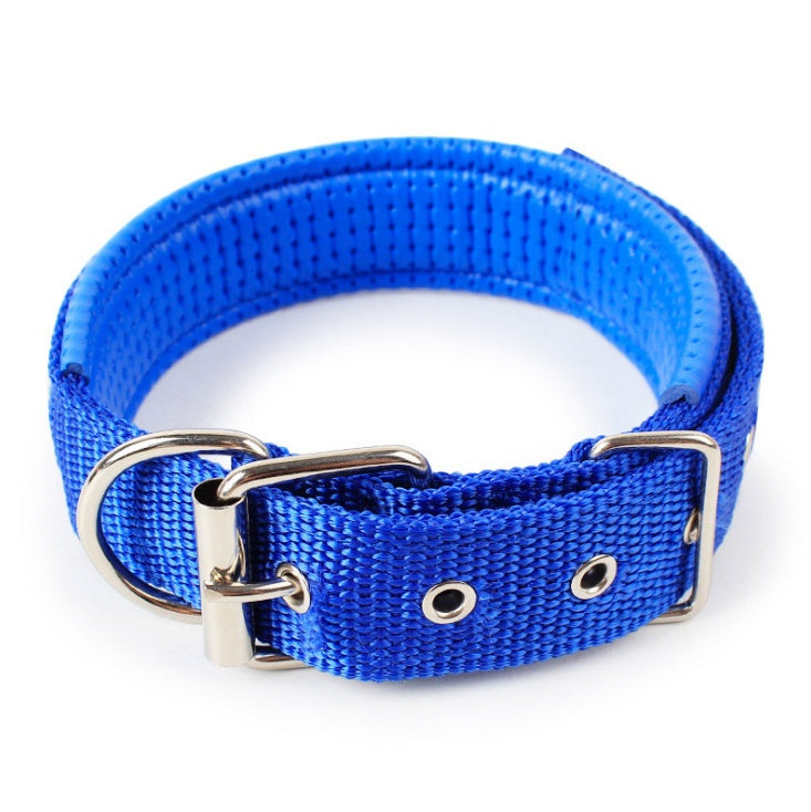 blue adjustable dog collar with metal buckle and D-ring, padded inner lining