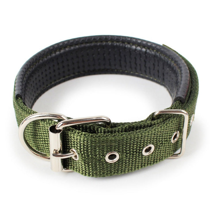 Adjustable green nylon dog collar with soft black lining and metal buckle on white background