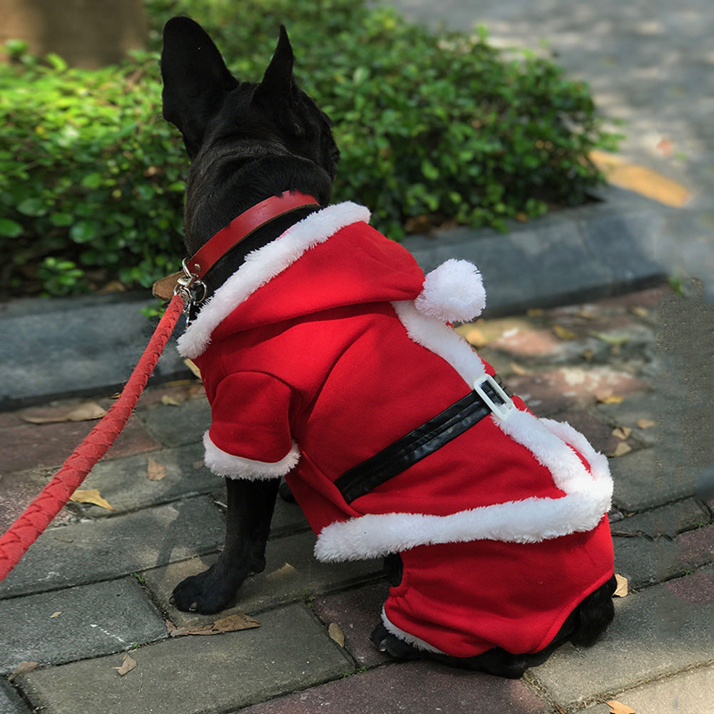Black dog wearing cozy red Christmas Santa outfit with white trim sitting on outdoor pavement