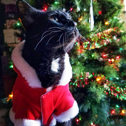 Black cat wearing red and white Santa coat sitting near decorated Christmas tree with lights