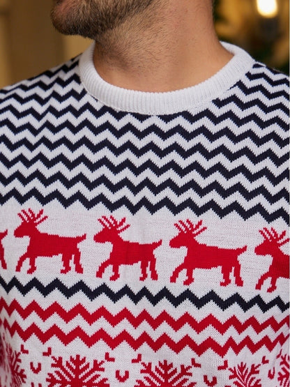 Close-up of man wearing Christmas sweater with red reindeer and black zigzag patterns