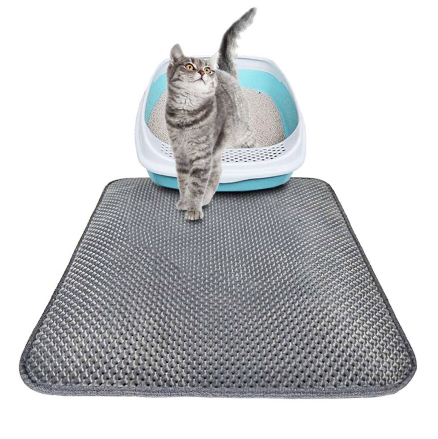Gray tabby cat walking out of blue and white litter box on textured gray waterproof cat litter mat