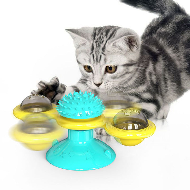 Grey tabby kitten playing with a yellow and blue rotating interactive catnip toy on white background
