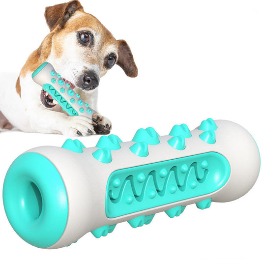 Jack Russell Terrier chewing on turquoise and white durable dog chew toy with teeth cleaning spikes