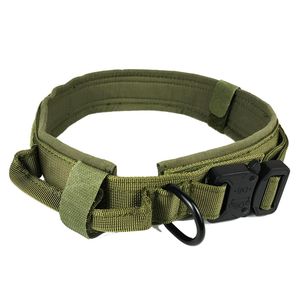 olive green tactical dog collar with adjustable nylon strap, padded lining, and black metal buckle