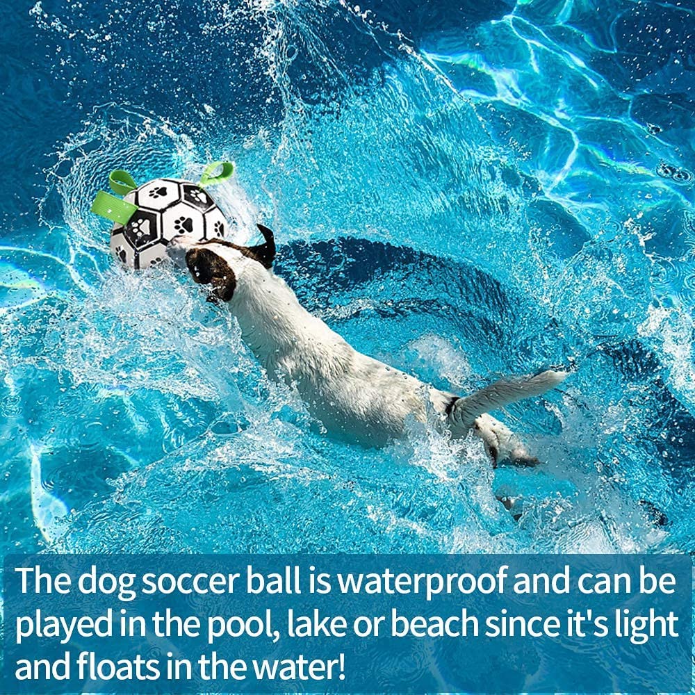 Dog swimming in bright blue water chasing a waterproof black and white soccer dog toy ball