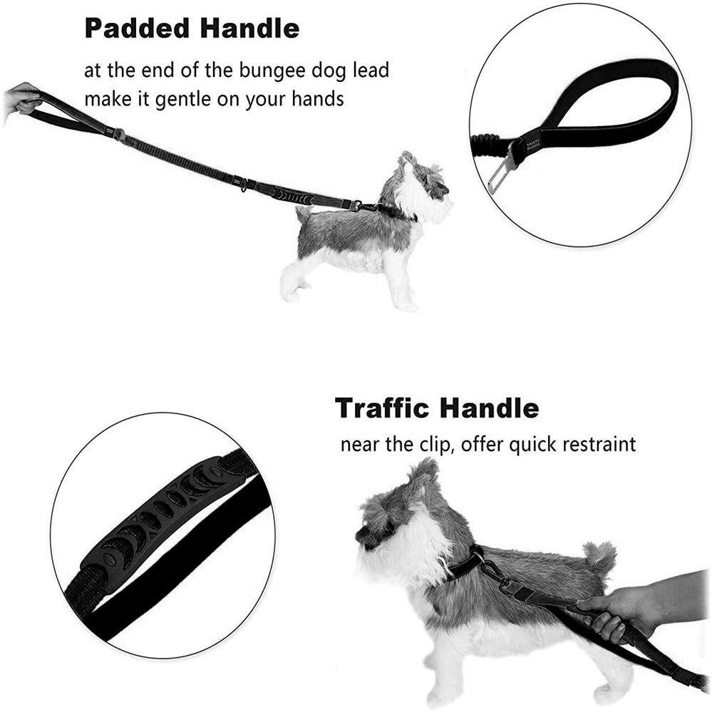 Black adjustable bungee dog leash with padded handle and traffic handle, shown with small dog