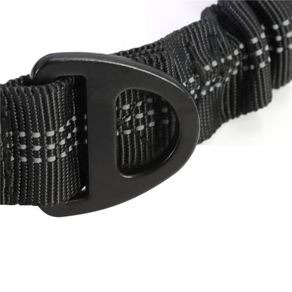 Close-up of black adjustable dog leash buckle with reflective stitched nylon material