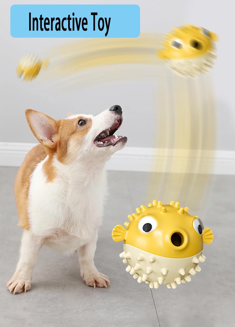 Corgi dog playing with yellow interactive pufferfish chew toy on gray floor