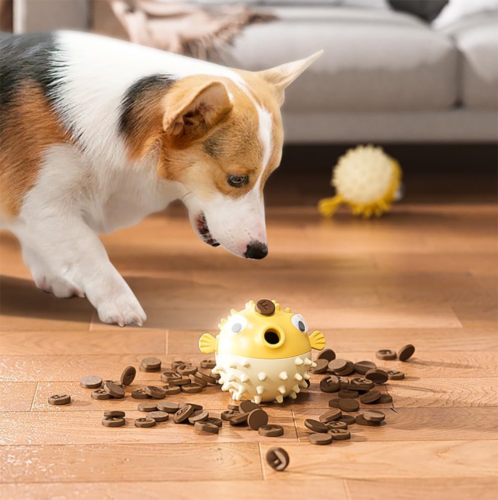 Corgi dog interacting with yellow pufferfish-shaped treat dispensing chew toy on wooden floor with scattered treats