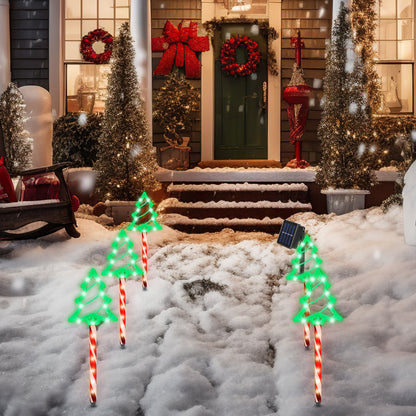 Snowy front yard decorated with solar powered Christmas tree pathway lights and festive wreaths on door
