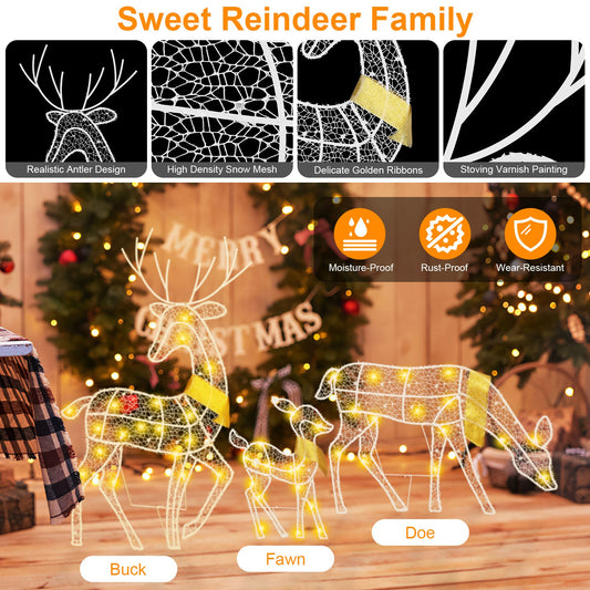 Lighted reindeer family Christmas decorations with warm yellow LED lights, including buck, fawn, and doe indoors