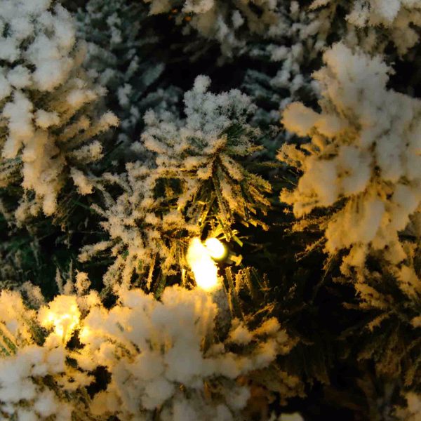 Close-up of flocked Christmas tree branches with warm white LED lights glowing