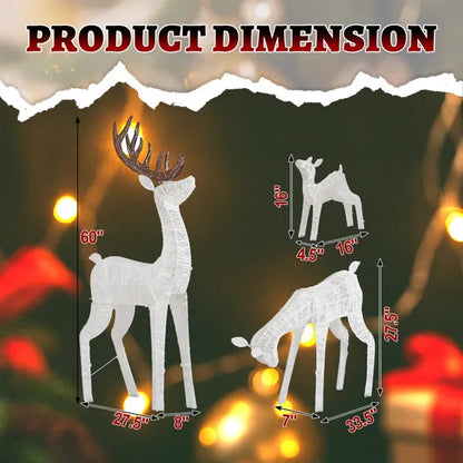 Lighted reindeer family set with warm white LEDs, showing three sizes with dimensions on dark background